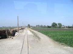 Sugar cane railway on the West bank of the Nile, Luxor, June 2010